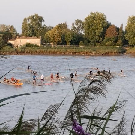 Bed and Breakfast L'Atelier Saint-Sulpice Entre Bordeaux Et St Emilion Екстер'єр фото