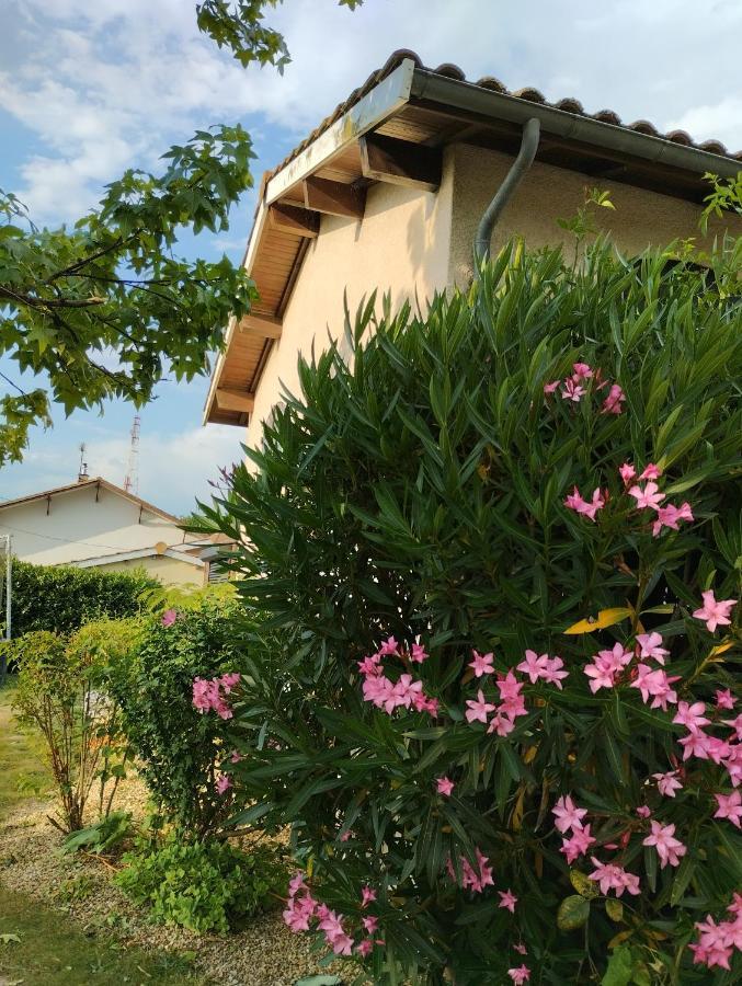 Bed and Breakfast L'Atelier Saint-Sulpice Entre Bordeaux Et St Emilion Екстер'єр фото
